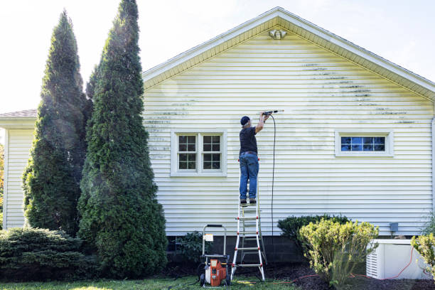 Best Pressure Washing Brick  in Flatonia, TX