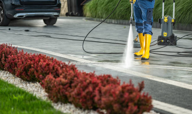 Best Pressure Washing Patio  in Flatonia, TX